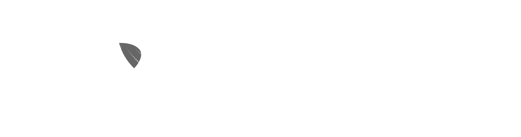 Drisharch Logo